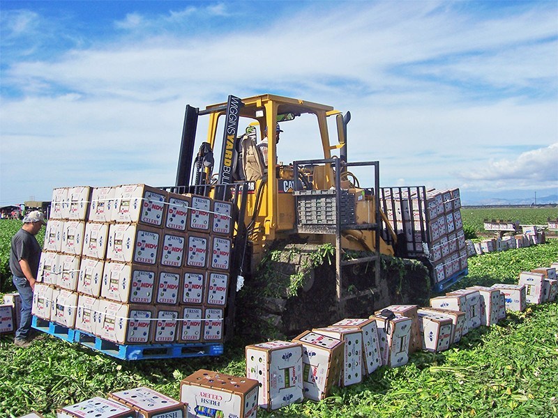 Wiggins Lift Company and Agriculture